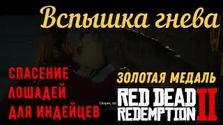 Вспышка гнева - Спасение лошадей на золото в Red Dead Redemption 2