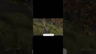 Сумбур в команде не к добру. По итогу убили всех чужих и своих.