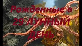 Рожденные в 29 лунный день