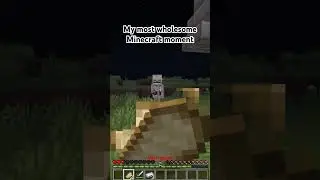Minecraft Is Wholesome #minecraft #shorts @Shulkercraft