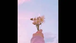 Pop R&B Type Beat - “Flowers” | Chill RnB Instrumental | บีททำเพลง