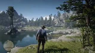Red Dead Redemption 2 screen spaced shadows on edge of screen glitch?