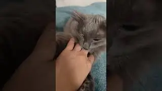 Нервные клетки не восстанавливаются 😻.         