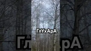 Кое-как Спугнули Капалуху никого не боятся