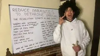 Inspeckta Veg says reduce parasites to dethrone Babylon