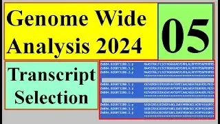 Transcript alignment and selection Genome wide study 2024 Part 05
