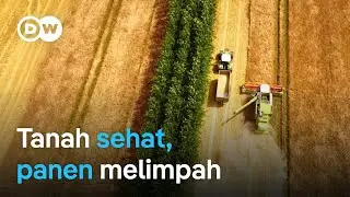 Cara petani Jerman selamatkan tanah demi ketahanan pangan | DW Dokumenter