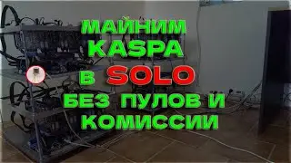 Майнинг KASPA в SOLO без ПУЛА на HIVE OS! Настраиваем свою НОДУ за 5 минут!