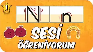 N Sesi Öğretimi 🌿 Okunuşu ve Yazılışı ✍🏻  1.Sınıf 