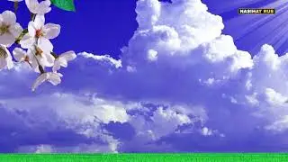 Очень красивое чтение Корана (РАМАДАН-2024)