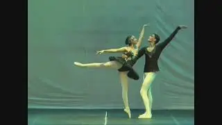 Cisne Negro, Pas de Deux | 20 Anos CRV - Cia Roseanne Viera