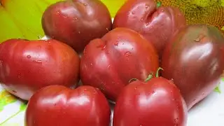 Сею ПОМИДОРЫ на рассаду!