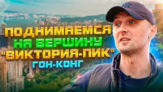 Поднялись на вершину горы , гонконгский океанариум 