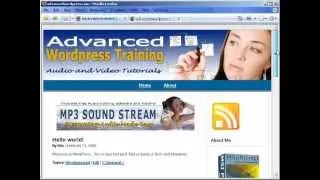 3 - Working With Wordpress / PHP Code
