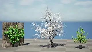 British Apricot 'Flavorcot' Tree 3D animation with unreal engine