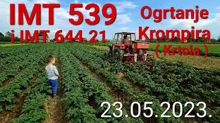 Ogrtanje i Prihrana Krompira ( Krtola ) 23.05.2023. IMT 539 i IMT 644.21