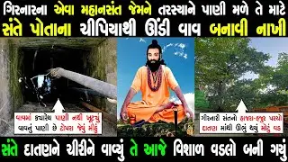 તરસ્યાને પાણી મળે તે માટે આ ગીરનારી સંતે ચીપિયાથી બનાવી નાખી વાવ | દાતણ માંથી બની ગયો છે વડલો