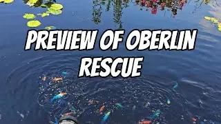 Preview of Oberlin Rescue