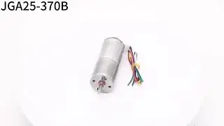 25mm DC Gear Motor