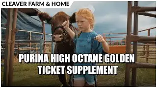 Purina High Octane Golden Ticket Supplement | Cleaver Farm & Home
