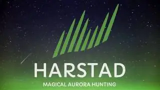 Magical Aurora Hunting in Harstad