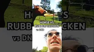 Horse vs Rubber Chicken vs DnB