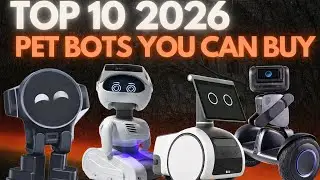 Top 10 Pet bots 2024!
