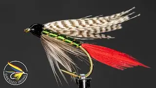 Tying The Grizzly King - Dressed Irons