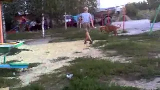 зоофил.mp4