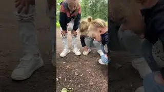 Встреча с Улитом 🐌 