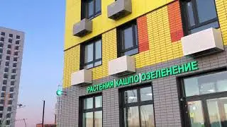 Студия Каштан