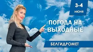 Видеопрогноз погоды по областям Беларуси на 3-4 июня 2023 года