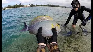 Murky Water Spearfishing with Sharks and David's Going Fishing Hawaii