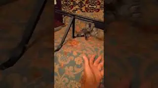 Новый аппарат , чтобы не было скуки .