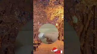 адвент календарь | день 10