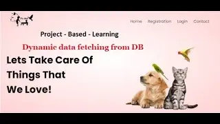 Project Based Learning(Ecom project) - Dynamic data fetching from DataBase