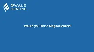 Would you like a Magnacleanse?