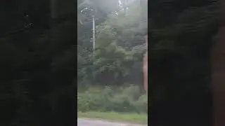 Drive