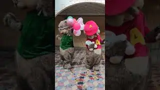 #канибадам