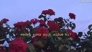 Benny Blanco & Juice WRLD - Roses (Türkçe Çeviri)