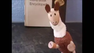 Llama Smart