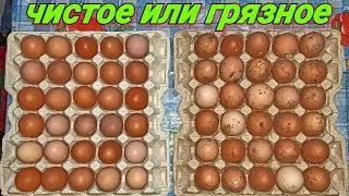 Выбор за ВАМИ!!!