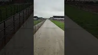 Коровки на комплексе