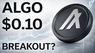 ALGO at $0.10… Is Algorand About to Explode in 2026? 🚀