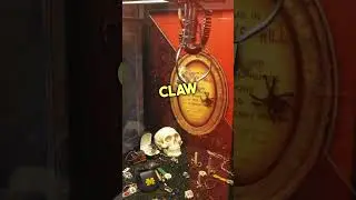 Hidden Treasure Inside Claw Machine!