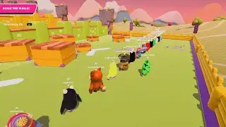 Streaming Custom