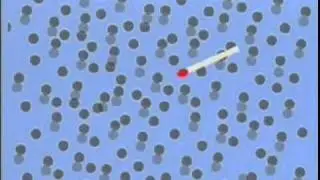 les grands principes de la combustion et de l'explosion