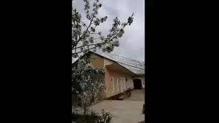 Ит ва Хороз хикояси | It va Xoroz xikoyasi Albatta tinglang 1 chisini ochirip tashladi Youtub ...