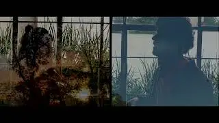 MADAME RÉCAMIER FEAT FISHLIGHTS - SE VALE SENTIR (LYRIC)