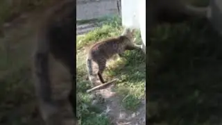 Учит сына быть взрослым.